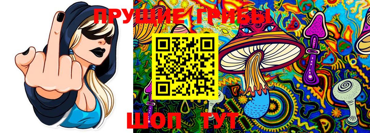 Галлюциногенные грибы MAGIC MUSHROOMS Ковров