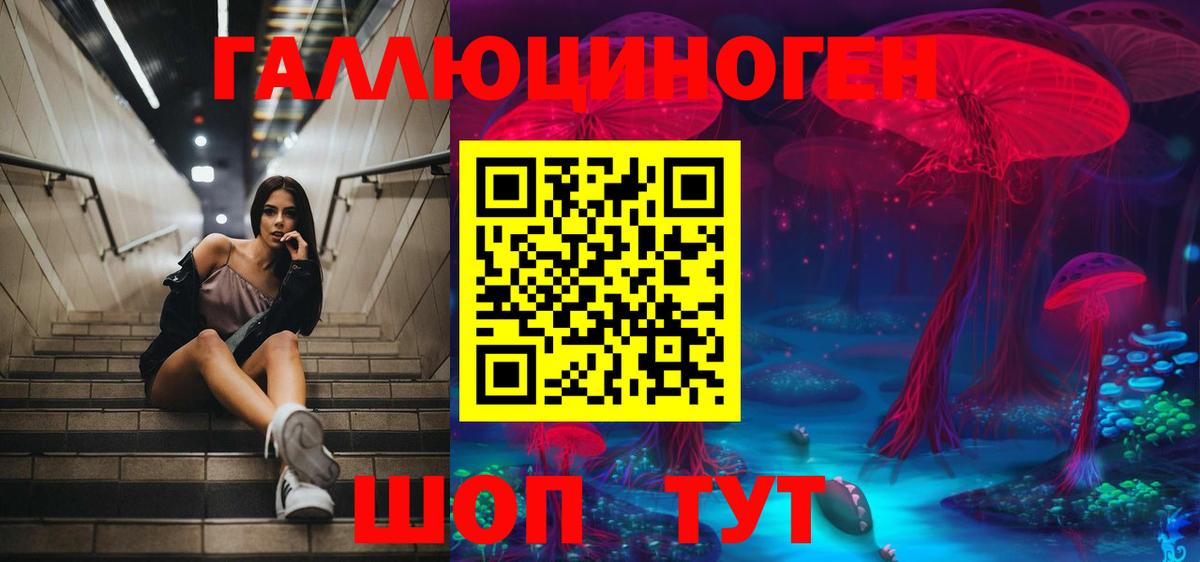Псилоцибиновые грибы Psilocybe  Вход с VPN  Ковров 